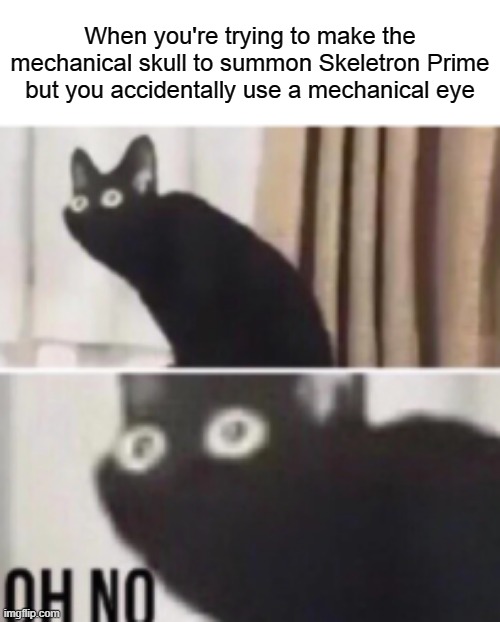 Oh no cat | When you're trying to make the mechanical skull to summon Skeletron Prime but you accidentally use a mechanical eye | image tagged in oh no cat,terraria | made w/ Imgflip meme maker
