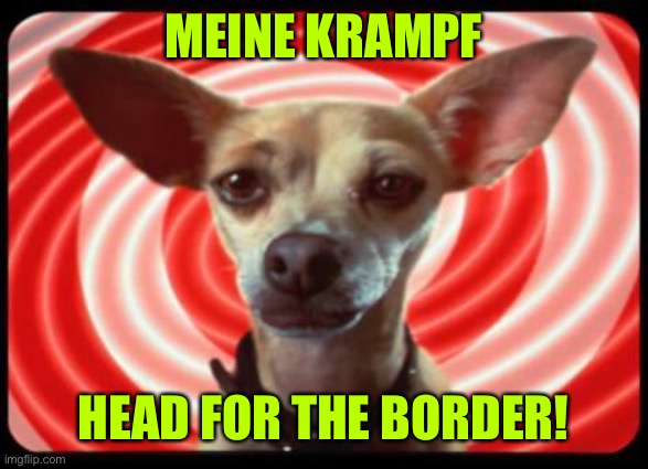 taco bell dog | MEINE KRAMPF HEAD FOR THE BORDER! | image tagged in taco bell dog | made w/ Imgflip meme maker