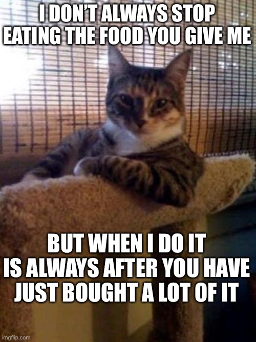 The Most Interesting Cat In The World | I DON’T ALWAYS STOP EATING THE FOOD YOU GIVE ME; BUT WHEN I DO IT IS ALWAYS AFTER YOU HAVE JUST BOUGHT A LOT OF IT | image tagged in memes,the most interesting cat in the world | made w/ Imgflip meme maker