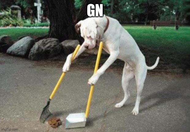 Dog poop | GN | image tagged in dog poop | made w/ Imgflip meme maker