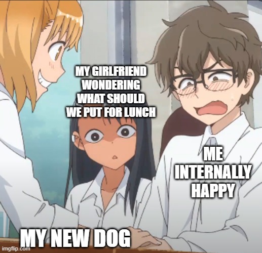 Jealous Nagatoro | MY GIRLFRIEND WONDERING WHAT SHOULD WE PUT FOR LUNCH; ME INTERNALLY HAPPY; MY NEW DOG | image tagged in jealous nagatoro | made w/ Imgflip meme maker