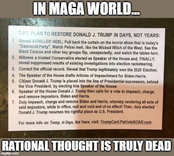 CPAC Dallas attendees provide 7 point plan for reinstating Trump in days | IN MAGA WORLD... RATIONAL THOUGHT IS TRULY DEAD | image tagged in trump,cpac,gop,election 2020,delusion,cult | made w/ Imgflip meme maker