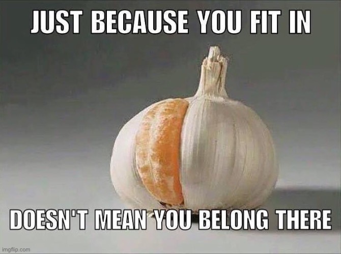 I feel seen | image tagged in just because you fit in,repost,onion,garlic,this onion won't make me cry,fit in | made w/ Imgflip meme maker