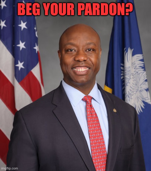 Senator Tim Scott - American Hero | BEG YOUR PARDON? | image tagged in senator tim scott - american hero | made w/ Imgflip meme maker