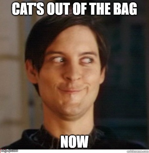 Creepy Toby | CAT'S OUT OF THE BAG; NOW | image tagged in creepy toby | made w/ Imgflip meme maker