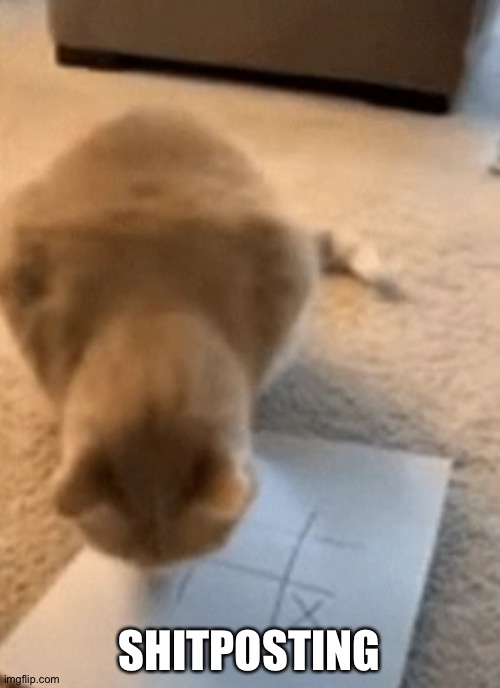 SHITPOSTING | image tagged in idk why i used this image | made w/ Imgflip meme maker