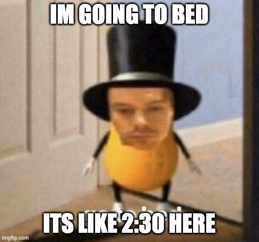 IM GOING TO BED; ITS LIKE 2:30 HERE | image tagged in go to bed | made w/ Imgflip meme maker