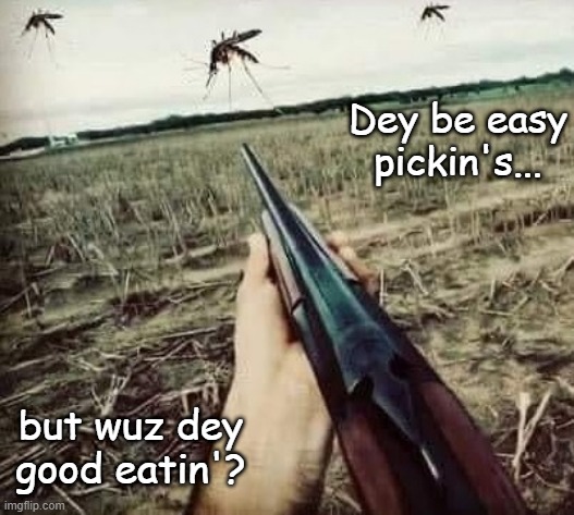  Dey be easy pickin's... but wuz dey good eatin'? | image tagged in mosquito | made w/ Imgflip meme maker