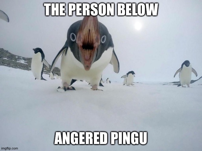 Pingu | THE PERSON BELOW; ANGERED PINGU | image tagged in angry penguin | made w/ Imgflip meme maker