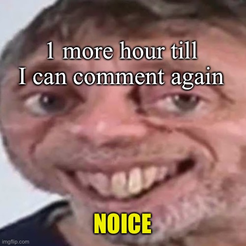 Noice | 1 more hour till I can comment again; NOICE | image tagged in noice | made w/ Imgflip meme maker