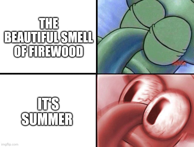 sleeping Squidward |  THE BEAUTIFUL SMELL OF FIREWOOD; IT'S SUMMER | image tagged in sleeping squidward | made w/ Imgflip meme maker