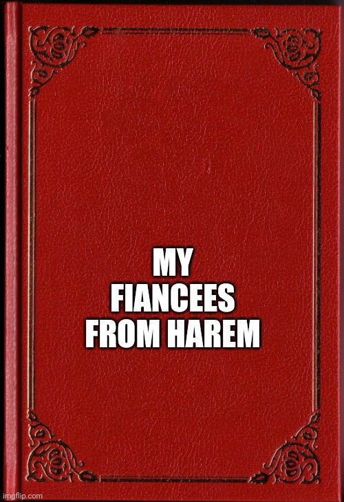 My fiancees book | MY FIANCEES FROM HAREM | image tagged in blank book | made w/ Imgflip meme maker