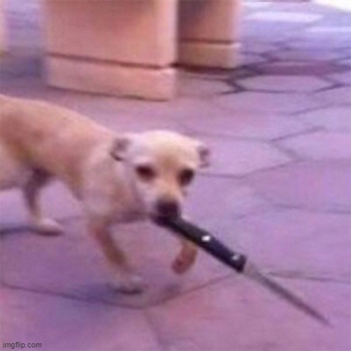 Oh no | image tagged in oh no,dogs | made w/ Imgflip meme maker