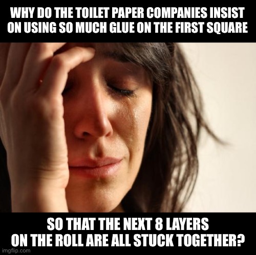 Let’s make sure that you have a project before you can use our product | WHY DO THE TOILET PAPER COMPANIES INSIST ON USING SO MUCH GLUE ON THE FIRST SQUARE; SO THAT THE NEXT 8 LAYERS ON THE ROLL ARE ALL STUCK TOGETHER? | image tagged in memes,first world problems | made w/ Imgflip meme maker