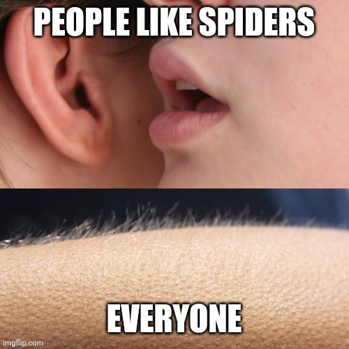 Whisper and Goosebumps | PEOPLE LIKE SPIDERS; EVERYONE | image tagged in whisper and goosebumps | made w/ Imgflip meme maker