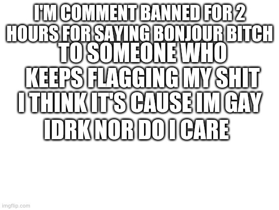 He keeps flagging my stuff honestly idm but seriously do you have to flag almost everything I do | I'M COMMENT BANNED FOR 2 HOURS FOR SAYING BONJOUR BITCH; TO SOMEONE WHO KEEPS FLAGGING MY SHIT; I THINK IT'S CAUSE IM GAY; IDRK NOR DO I CARE | image tagged in blank white template | made w/ Imgflip meme maker