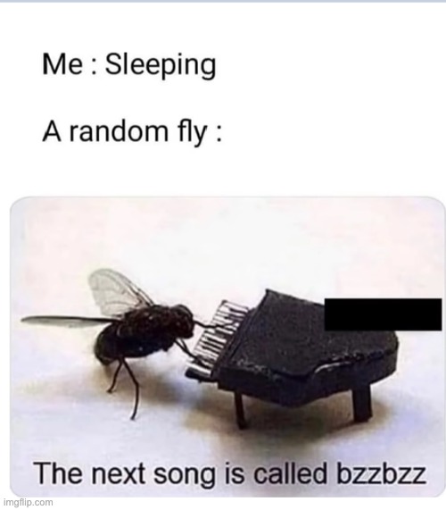 f l y | image tagged in fly,bzzbzz,piano | made w/ Imgflip meme maker