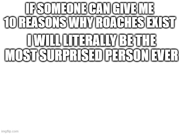 idk why i made this lol its 5am | IF SOMEONE CAN GIVE ME 10 REASONS WHY ROACHES EXIST; I WILL LITERALLY BE THE MOST SURPRISED PERSON EVER | image tagged in blank white template | made w/ Imgflip meme maker