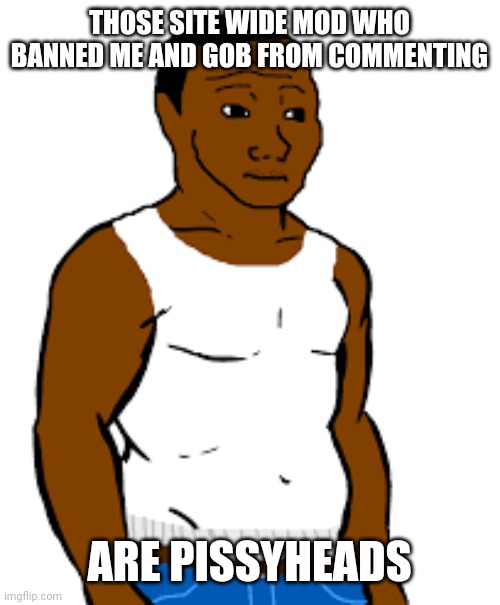 carl johnson | THOSE SITE WIDE MOD WHO BANNED ME AND GOB FROM COMMENTING; ARE PISSYHEADS | image tagged in carl johnson | made w/ Imgflip meme maker