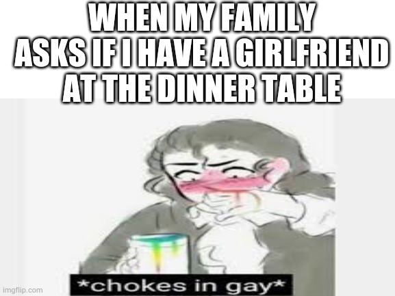 Literally every family meeting and it's really awkward | WHEN MY FAMILY ASKS IF I HAVE A GIRLFRIEND AT THE DINNER TABLE | image tagged in gay pride,gay jokes | made w/ Imgflip meme maker