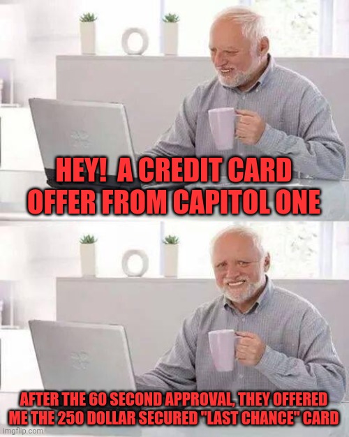 Hide the Pain Harold Meme | HEY!  A CREDIT CARD OFFER FROM CAPITOL ONE; AFTER THE 60 SECOND APPROVAL, THEY OFFERED ME THE 250 DOLLAR SECURED "LAST CHANCE" CARD | image tagged in memes,hide the pain harold | made w/ Imgflip meme maker
