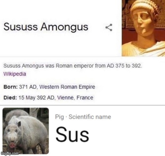 image tagged in sususs amongus,sus | made w/ Imgflip meme maker
