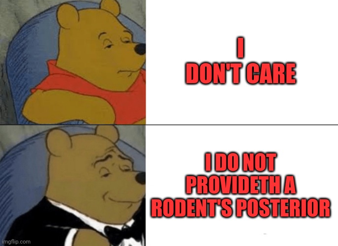 Tuxedo Winnie The Pooh Meme | I DON'T CARE; I DO NOT PROVIDETH A RODENT'S POSTERIOR | image tagged in memes,tuxedo winnie the pooh | made w/ Imgflip meme maker