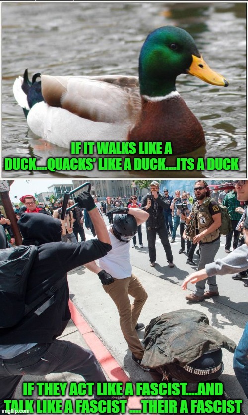 yep | IF IT WALKS LIKE A DUCK....QUACKS' LIKE A DUCK....ITS A DUCK; IF THEY ACT LIKE A FASCIST....AND TALK LIKE A FASCIST ....THEIR A FASCIST | image tagged in democrats,fascism | made w/ Imgflip meme maker