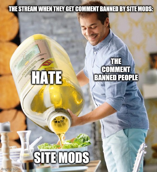Guy pouring olive oil on the salad | THE STREAM WHEN THEY GET COMMENT BANNED BY SITE MODS:; HATE; THE COMMENT BANNED PEOPLE; SITE MODS | image tagged in guy pouring olive oil on the salad | made w/ Imgflip meme maker