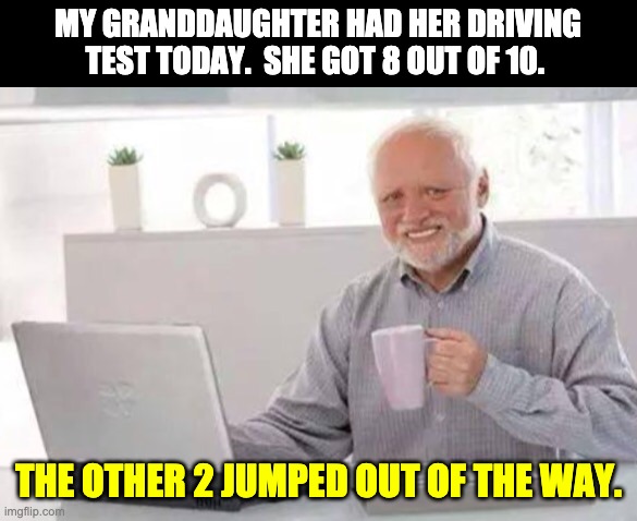 Driving | MY GRANDDAUGHTER HAD HER DRIVING TEST TODAY.  SHE GOT 8 OUT OF 10. THE OTHER 2 JUMPED OUT OF THE WAY. | image tagged in harold | made w/ Imgflip meme maker