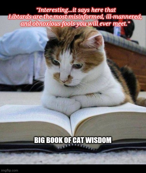 Kitty reads up | "Interesting...it says here that Libtards are the most misinformed, ill-mannered, and obnoxious fools you will ever meet."; BIG BOOK OF CAT WISDOM | image tagged in cute cat,wisdom,libtards,suck | made w/ Imgflip meme maker