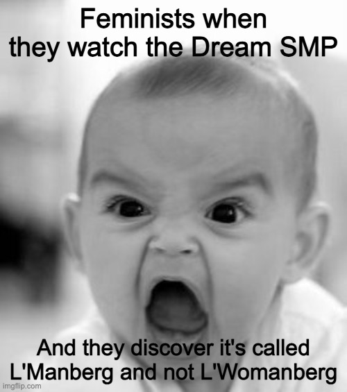 Angry Baby | Feminists when they watch the Dream SMP; And they discover it's called L'Manberg and not L'Womanberg | image tagged in memes,angry baby,feminist,dream smp | made w/ Imgflip meme maker