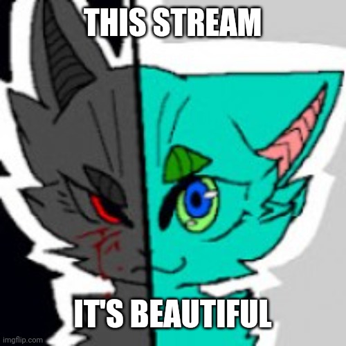 OwO I love this place already >w< | THIS STREAM; IT'S BEAUTIFUL | image tagged in retrofurry announcement template,furry | made w/ Imgflip meme maker