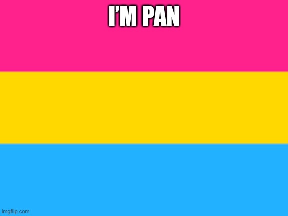 Pansexual flag | I’M PAN | image tagged in pansexual flag | made w/ Imgflip meme maker