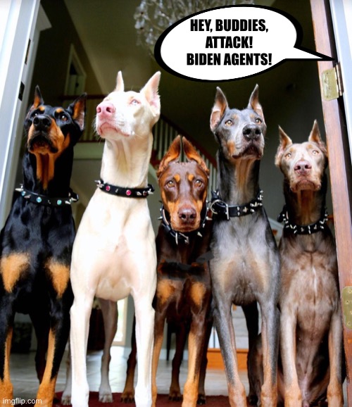 Attack dogs! | HEY, BUDDIES,
ATTACK!
BIDEN AGENTS! | image tagged in joe biden,biden - will you shut up man,biden,democrat party,communists,government corruption | made w/ Imgflip meme maker