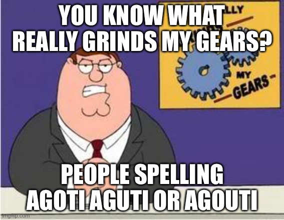 You know what grinds my gears | YOU KNOW WHAT REALLY GRINDS MY GEARS? PEOPLE SPELLING AGOTI AGUTI OR AGOUTI | image tagged in you know what grinds my gears | made w/ Imgflip meme maker