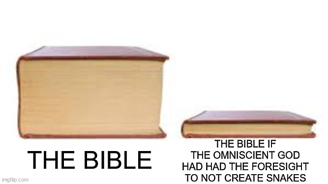 Big book small book | THE BIBLE THE BIBLE IF THE OMNISCIENT GOD HAD HAD THE FORESIGHT TO NOT CREATE SNAKES | image tagged in big book small book | made w/ Imgflip meme maker