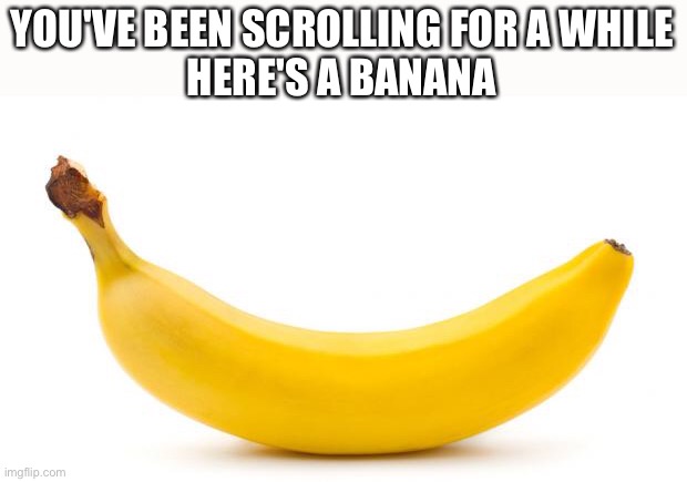 Banana | YOU'VE BEEN SCROLLING FOR A WHILE
HERE'S A BANANA | image tagged in banana,bored,fun,ineedpoints,barney will eat all of your delectable biscuits,thisimagehasalotoftags | made w/ Imgflip meme maker