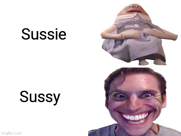 Sus baka | Sussie; Sussy | image tagged in sus,memes,blank white template | made w/ Imgflip meme maker