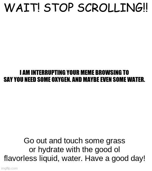 H Y D R A T E | WAIT! STOP SCROLLING!! I AM INTERRUPTING YOUR MEME BROWSING TO SAY YOU NEED SOME OXYGEN. AND MAYBE EVEN SOME WATER. Go out and touch some grass or hydrate with the good ol flavorless liquid, water. Have a good day! | image tagged in blank white template,h y d r a t e | made w/ Imgflip meme maker
