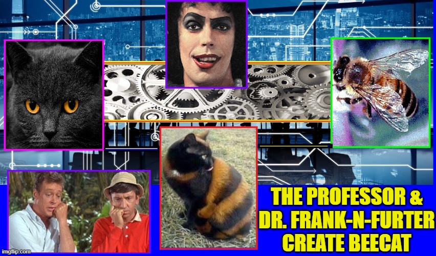 Heard the Buzz? The Purrfect Pet and a Honey of a Cat | THE PROFESSOR &
DR. FRANK-N-FURTER CREATE BEECAT | image tagged in vince vance,cats,bees,tim curry,the professor,gilligan's island | made w/ Imgflip meme maker