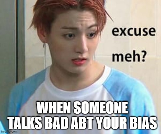 Excuse me? | WHEN SOMEONE TALKS BAD ABT YOUR BIAS | image tagged in excuse me | made w/ Imgflip meme maker