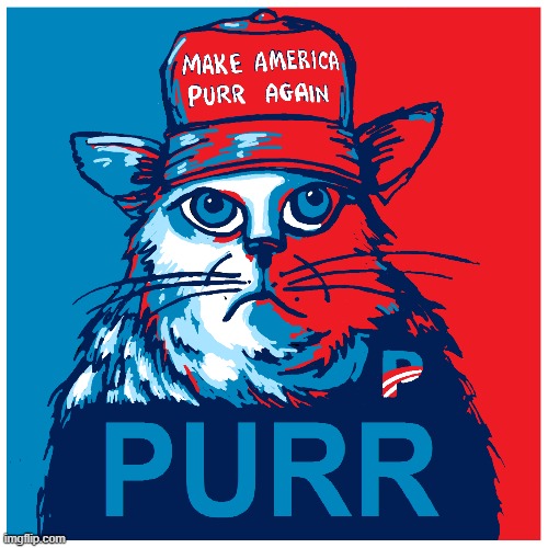 Some Cats are Purrfect | image tagged in vince vance,cats,maga,donald trump,america first,memes | made w/ Imgflip meme maker