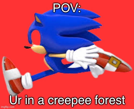 Sonic exe running | POV:; Ur in a creepee forest | image tagged in sonic exe running | made w/ Imgflip meme maker