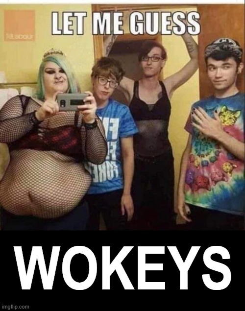 WOKEYS | WOKEYS | image tagged in woke | made w/ Imgflip meme maker