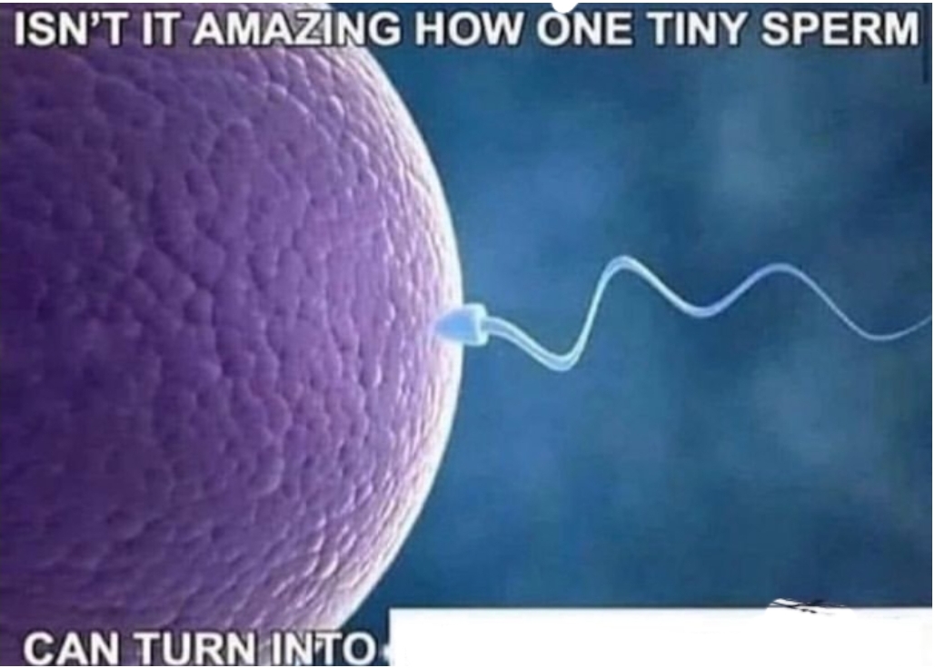Isnt it amazing how one tiny sperm can turn into Blank Meme Template