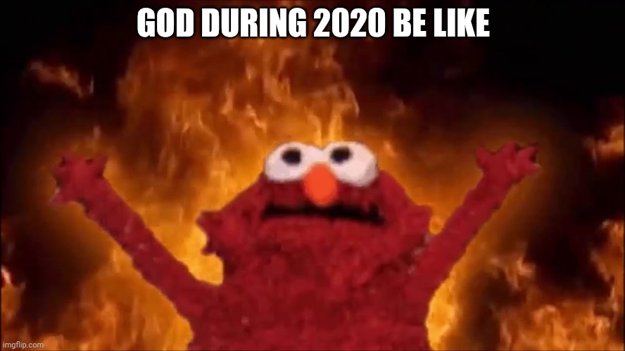 2020 sucked ;w; |  GOD DURING 2020 BE LIKE | image tagged in fire elmo | made w/ Imgflip meme maker