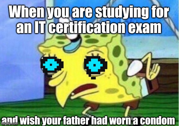 IT Certification Fail | When you are studying for
an IT certification exam; and wish your father had worn a condom | image tagged in memes,mocking spongebob,tech support,technology,computers,funny memes | made w/ Imgflip meme maker