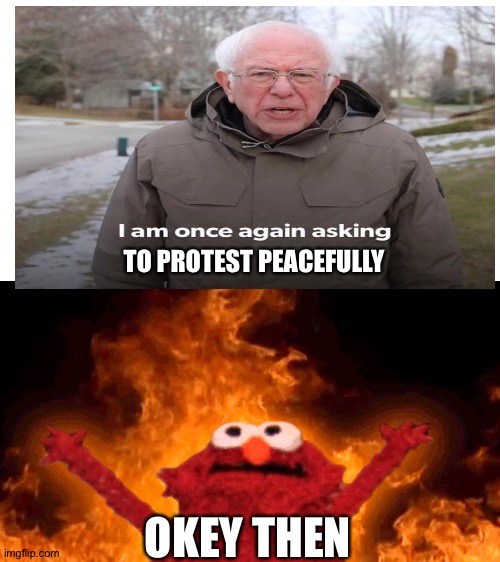 TO PROTEST PEACEFULLY OKEY THEN | image tagged in elmo fire | made w/ Imgflip meme maker