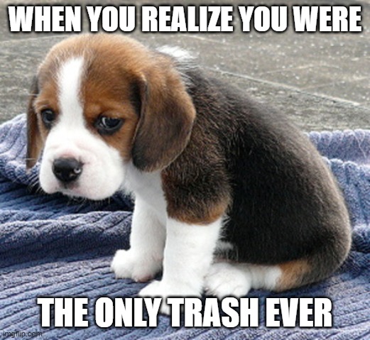 sad dog | WHEN YOU REALIZE YOU WERE; THE ONLY TRASH EVER | image tagged in sad dog | made w/ Imgflip meme maker